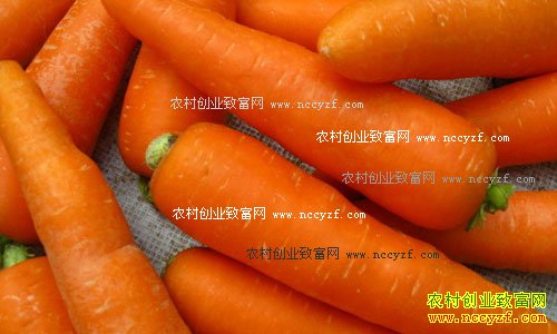 ���º��ܲ��۸����飺���ܲ��۸��ѱ�ȥ��