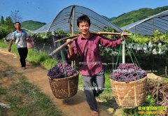 ��ũҵ���¸� �������͵�ũ�������