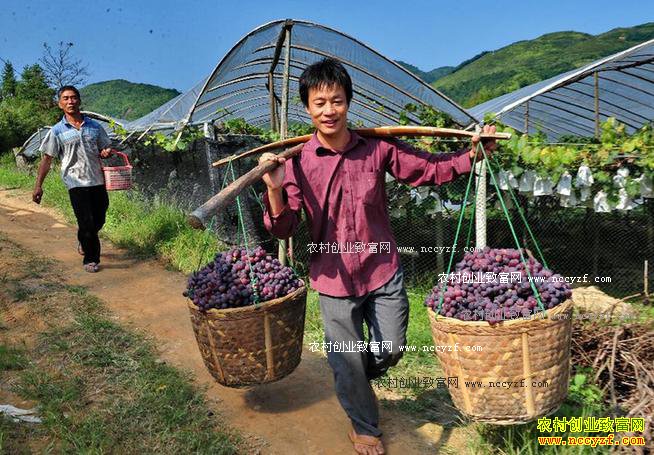 ��ũҵ���¸� �������͵�ũ�������