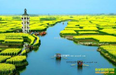 ����ũҵ������׬Ǯ������ũҵʮ������Ҫ��