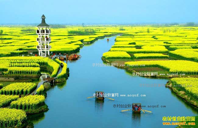 ����ũҵ������׬Ǯ������ũҵʮ������Ҫ��