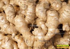 2016���������۸����飺�����������������¼۸�����