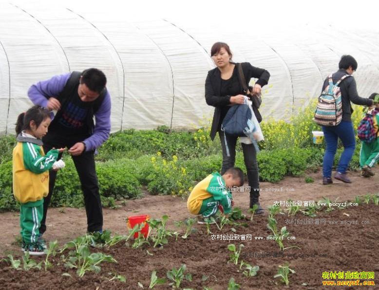 ������Ӫ��ͥũ����