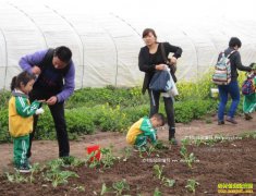 ������Ӫ��ͥũ����