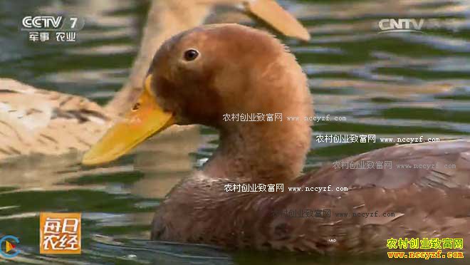 [ÿ��ũ��]��ëѼ������ 20161201