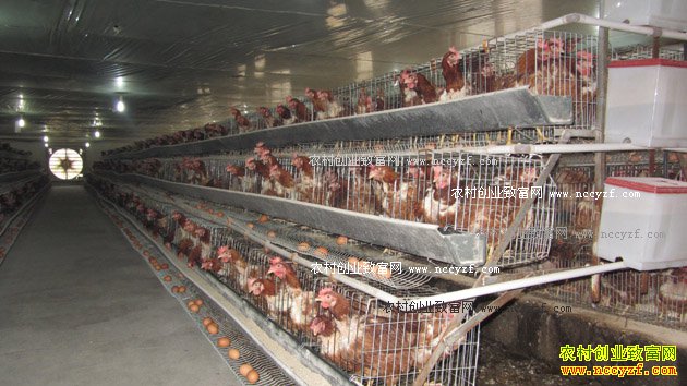 ��������ƣ��֢��֢״�����η���