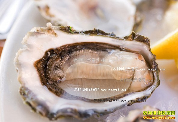 [ũ�����]��ĵ�ô����ĲƸ� 20161202