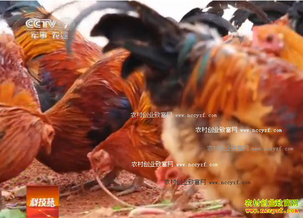 [�Ƽ�Է]����������Ϻ���صĵ������۸�