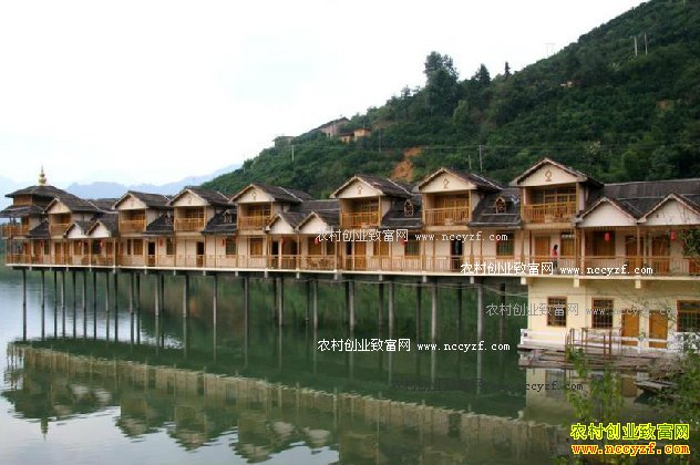 ������Ӫ��������ũׯ