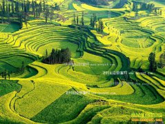 �Ļ�����ũҵ��Ŀ���г�ǰ������