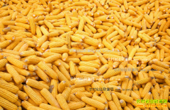 2017�����׼۸�����Ԥ�⣺���꿪�����׼۸��ή