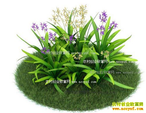 ��ֲ��ܸ׬Ǯ�� ��ܸ��ֲǰ����Ч�����