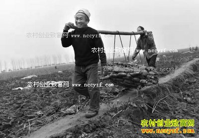 �����Ͻ��ػ�������ֲ��ź��ũ���¸�����Ŀ