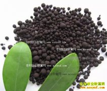 �������ֲ��ʵ����