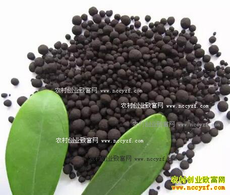 �������ֲ��ʵ����