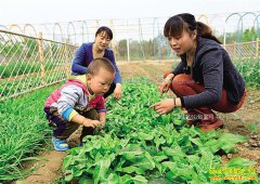 ��������ũҵ��ҵ�¸���Ŀ