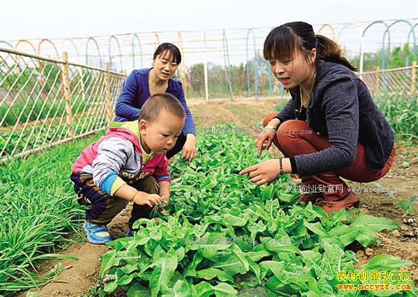 ��������ũҵ��ҵ�¸���Ŀ