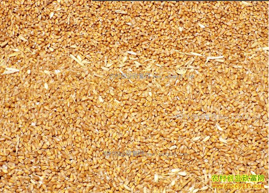 2017��С��۸�����Ԥ�⣺����ǰС�����һ��������