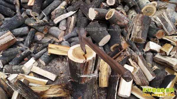 �ӱ����������������˾��ղ�Ҳ�ܰ�Ǯ׬