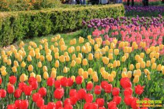 �Ĵ��Թ���һ�����������԰ �˶����������