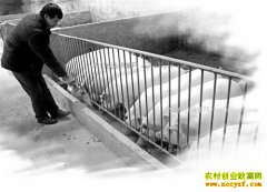 �����ϴ���Զ�ٴ���������׬Ǯ