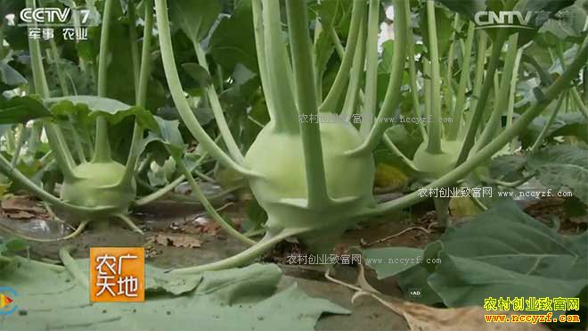 [ũ�����]��������������