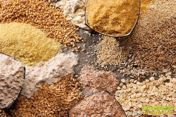 2016年最新麸皮价格行情:麸皮价格趋稳 局部地区回调