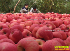 ����ƻ���۸����飺�츻ʿƻ���۸�һ·�ߵ�