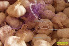 ����۸����ǡ�Ͷ�ʴ��������