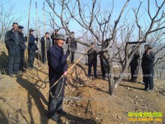 �����������޼�����