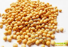 �󶹼۸��������Խ������ �����󶹼۸�������