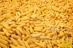 �������׼۸����飺���׼۸���ˮ��