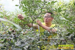 ��ֲʲô����Ʒ��Ч��� 3��������Ʒ���Ƽ�