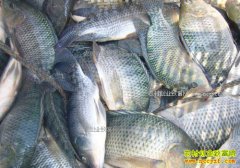 �����޷���۸����飺�޷���۸���������