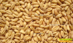 С��۸񻹻�����������ӭ��С��۸������������