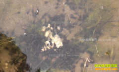 ��������� ������ֳ��ܼ���Ҫ��