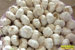 2017�����۸�Ԥ�⣺����۸��ܷ�ص�������λ��