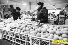 �����ͷ����ĸ�׬Ǯ �����۸�۸񾿾�˭˵���㣿