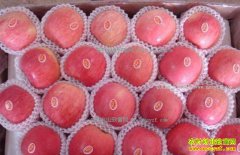 2017����ƻ��׬Ǯ�𣺹�ũ����ϧ�۶��Ǽ۲���ȡ