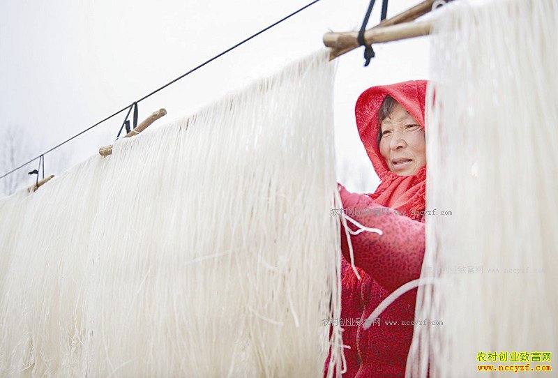 ɽ�����ݣ����������ռӹ�������ũ���¸�����Ŀ