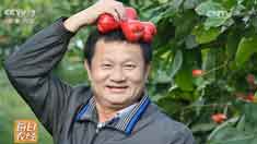 [ÿ��ũ��]���Ϻ��ڻ������ֲ����Ѫ������Ч���