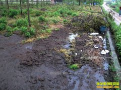 2017����Щ��ֳ��������̭