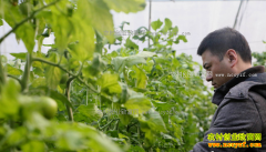 2017������ְҵũ��ǰ������׬Ǯ