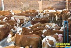 ��η���ţ�����ж���