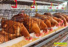 �������ѡ�������ϣ�