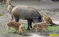 δ��������׬Ǯ��7��ũ���¸���Ŀ