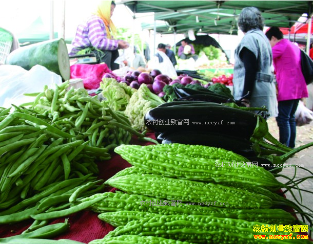 2017�괺��׬ǮС��Ŀ-��ǰ����