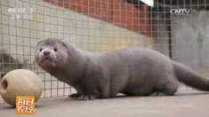 [ÿ��ũ��]ɽ��������ͬʱ������ˮ��������