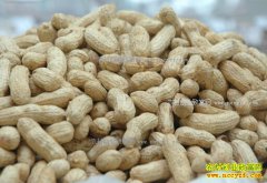 2017�껨���۸�Ԥ�⣺�����۸�������� ��ֲ�����۶���