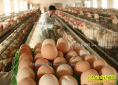 2017���¼����۸񣺴����ٽ������۸��µ�������ֳ������